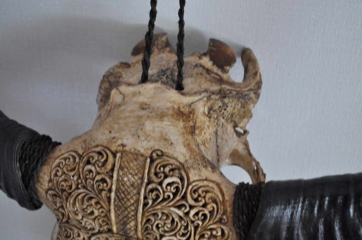 Sculpture - Water Buffalo Skull - Carved-photo-6