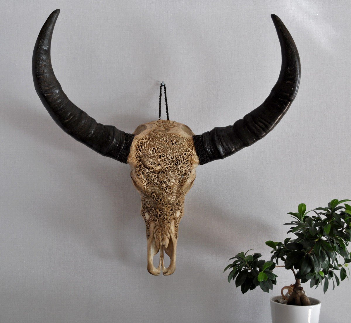 Sculpture - Buffalo Skull - Carved - Dragon Decorations-photo-3