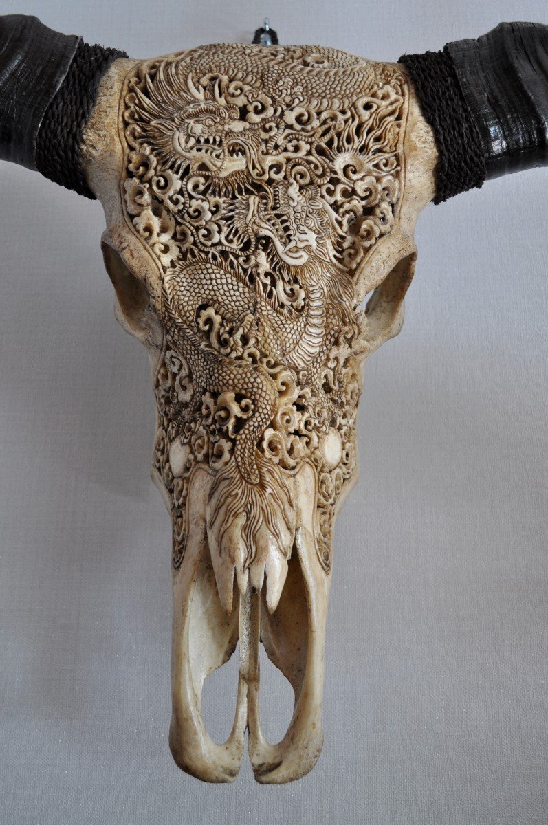 Sculpture - Buffalo Skull - Carved - Dragon Decorations-photo-4