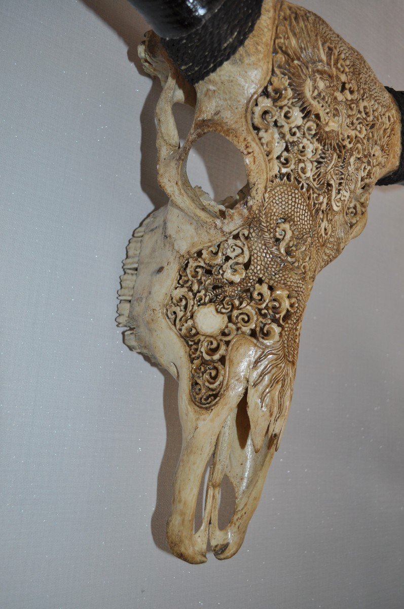 Sculpture - Buffalo Skull - Carved - Dragon Decorations-photo-6