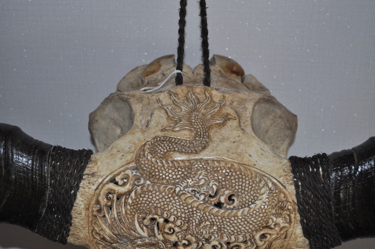 Sculpture - Buffalo Skull - Carved - Dragon Decorations-photo-8