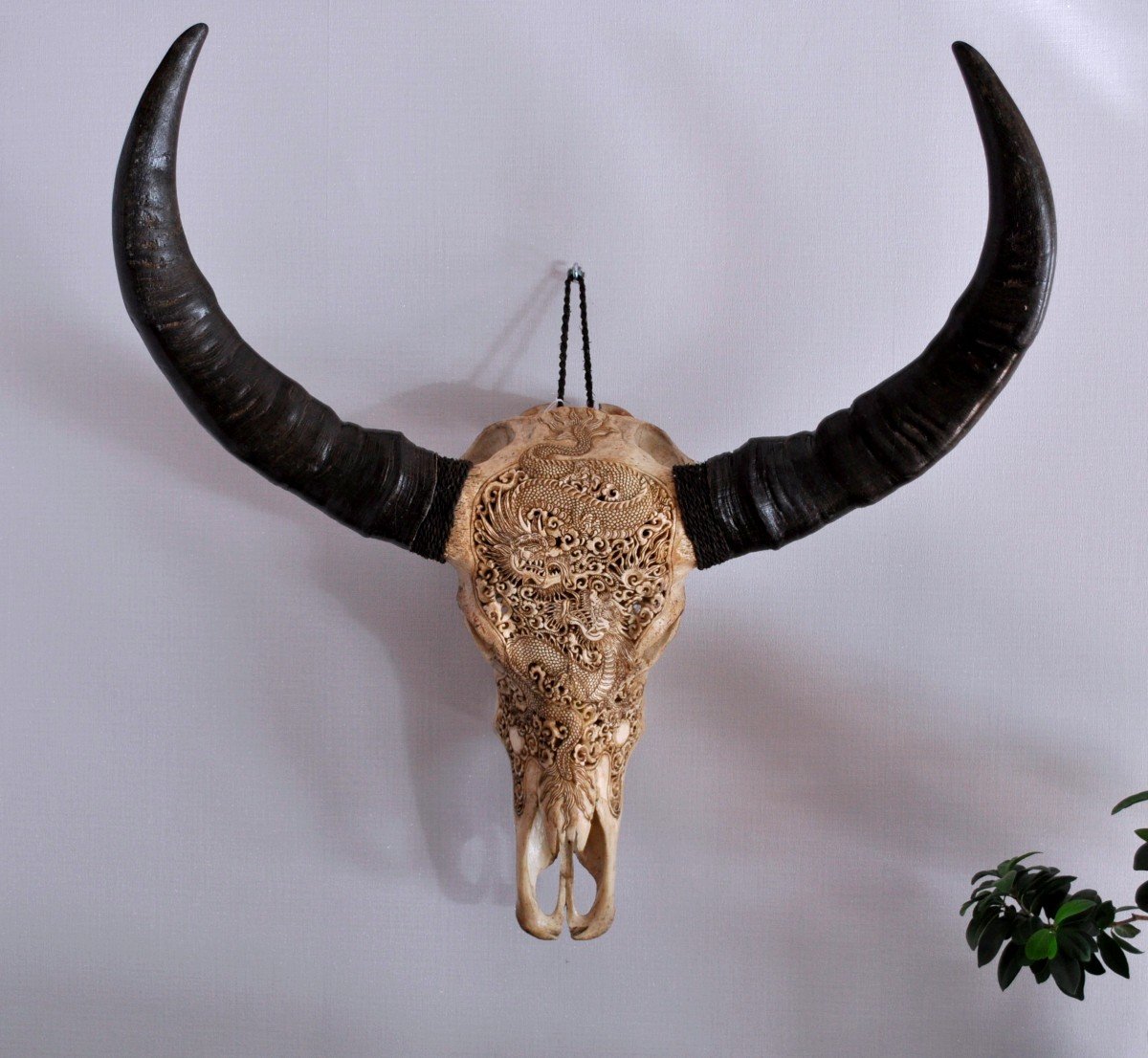 Sculpture - Buffalo Skull - Carved - Dragon Decorations