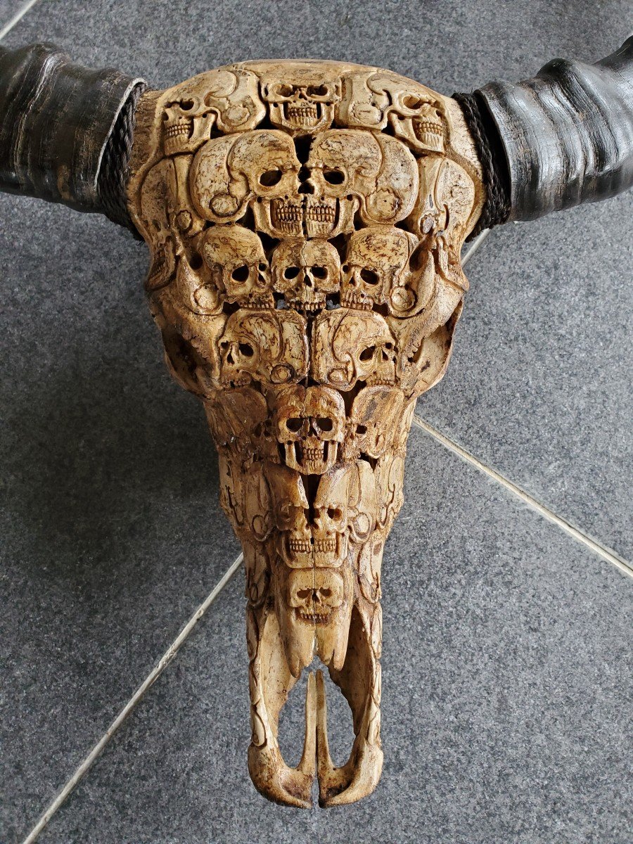 Sculpture -massacre - Buffalo Skull - Carved - Skull Decorations-photo-2