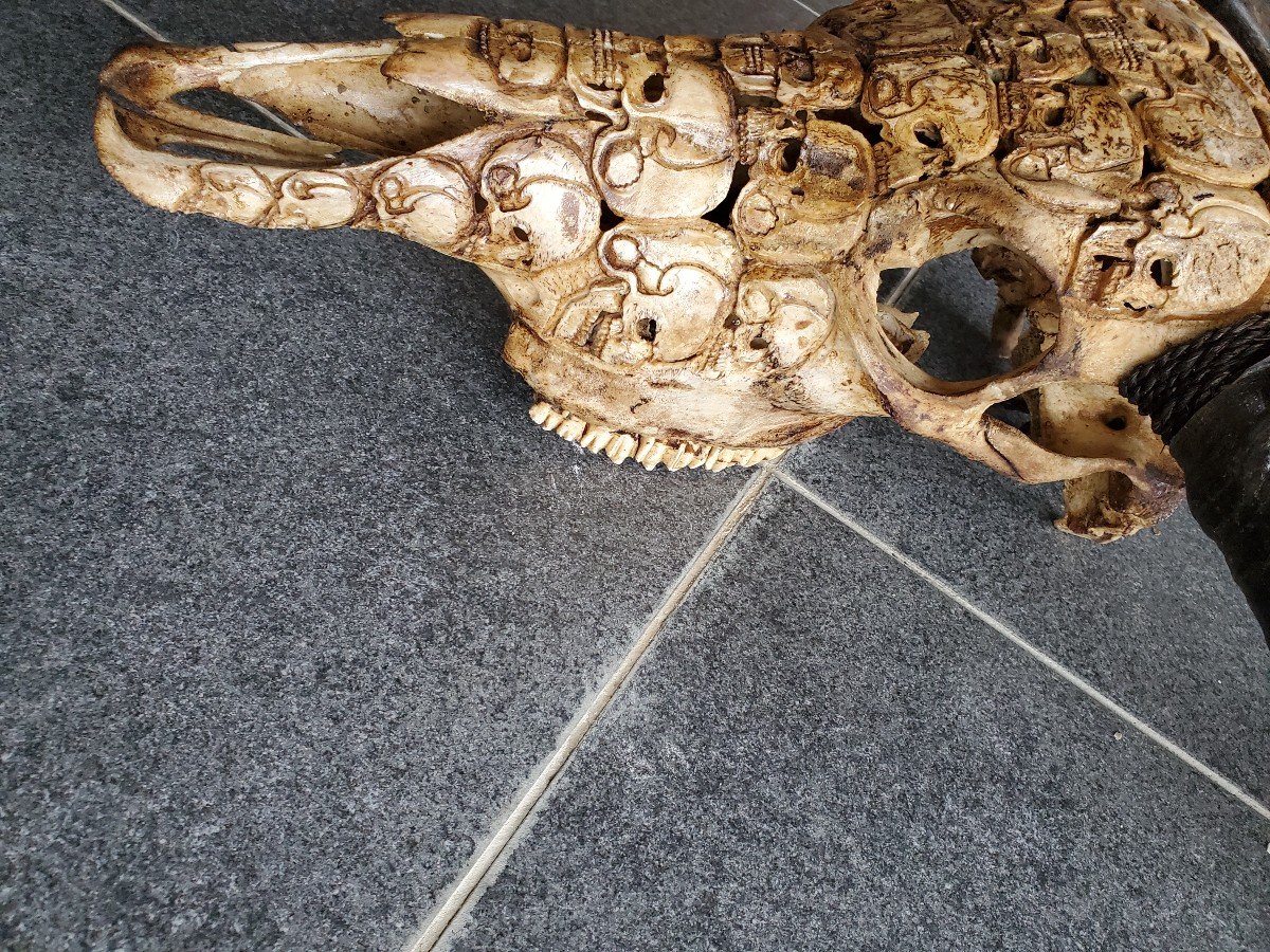 Sculpture -massacre - Buffalo Skull - Carved - Skull Decorations-photo-3