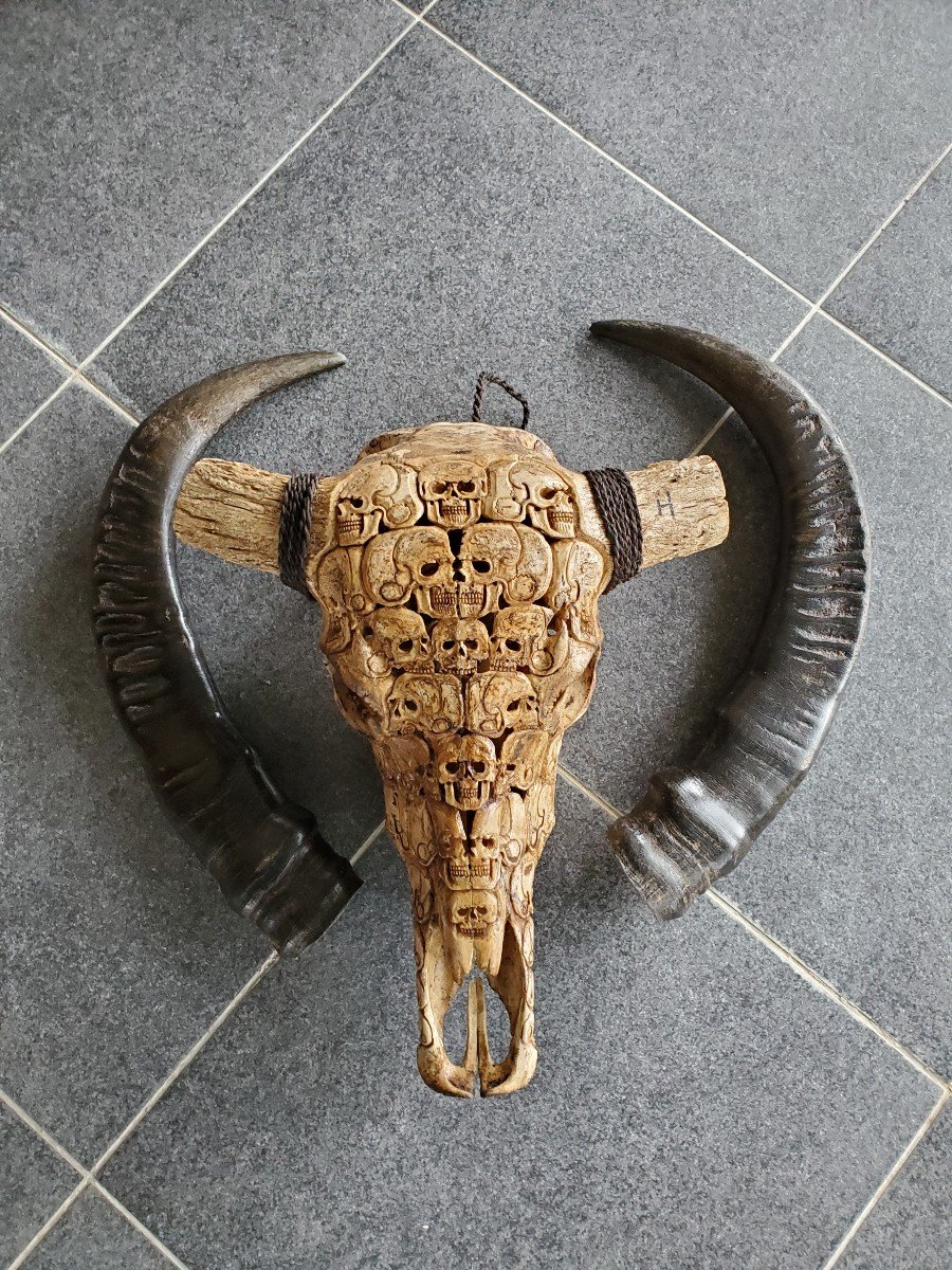Sculpture -massacre - Buffalo Skull - Carved - Skull Decorations-photo-7