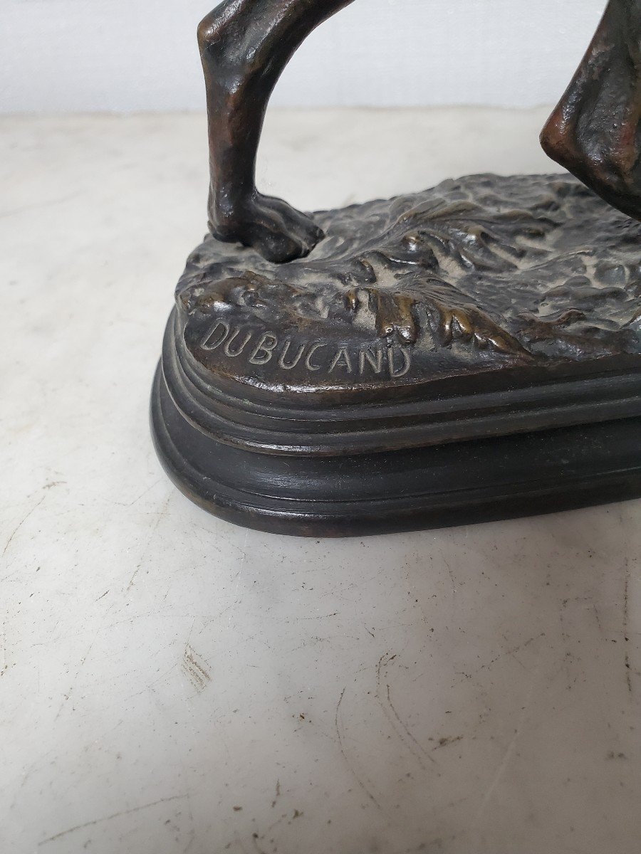 Sculpture - Animal Bronze - Dubucan Alfred - 19th Century-photo-3