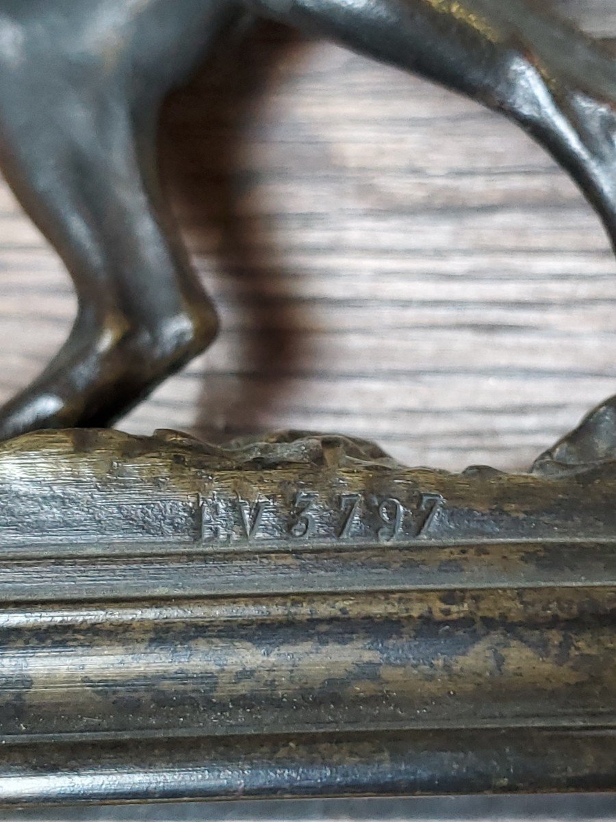Sculpture - Animal Bronze - Dubucan Alfred - 19th Century-photo-7