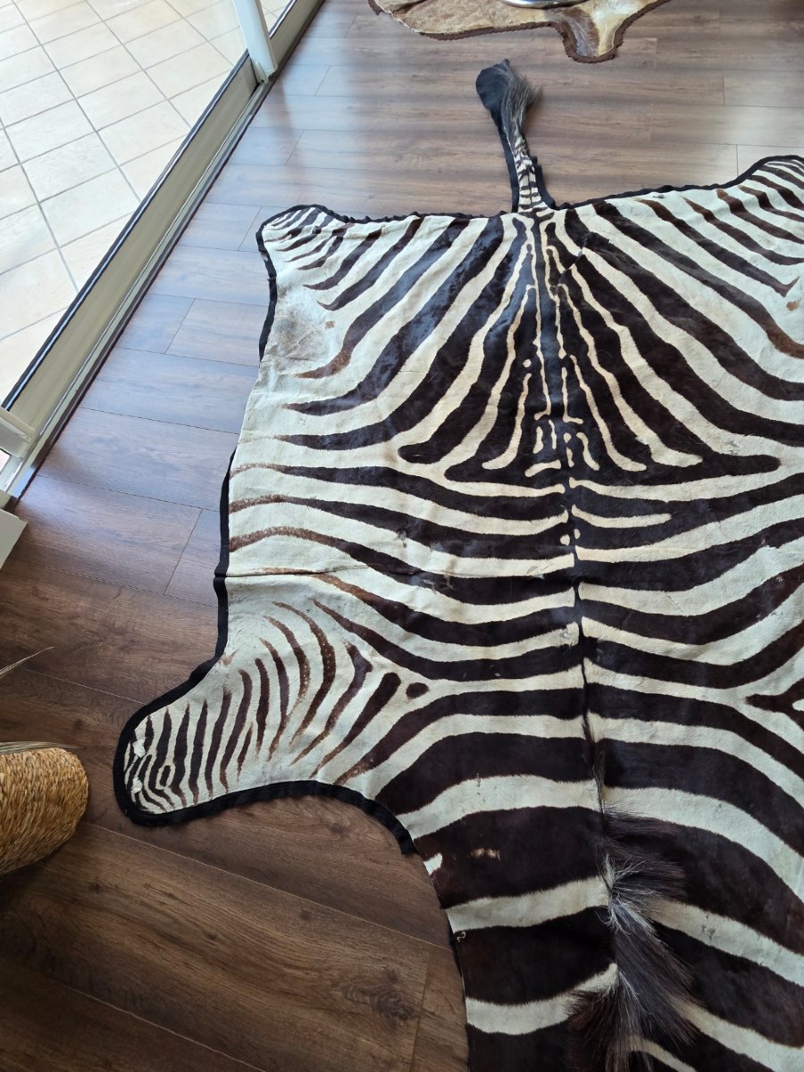 Genuine Burchell Zebra Skin-photo-3