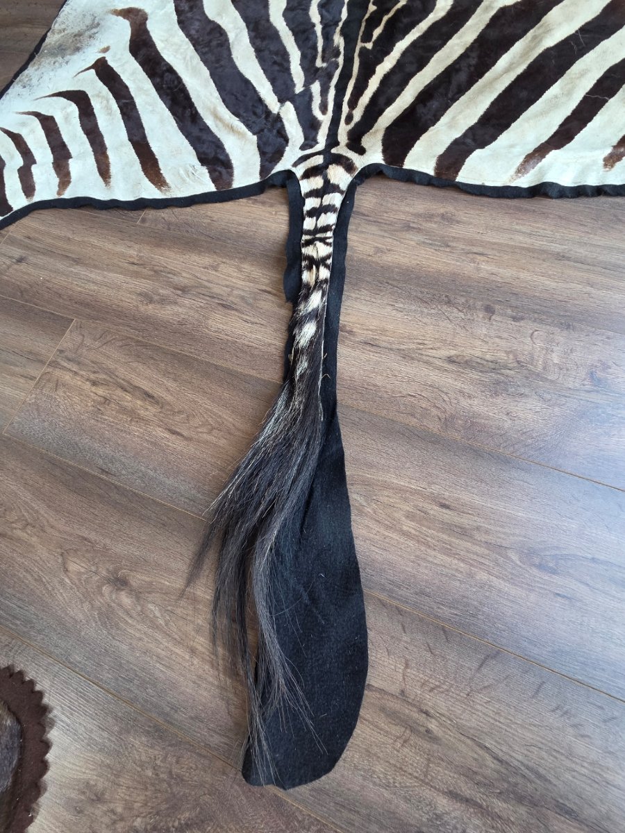 Genuine Burchell Zebra Skin-photo-3