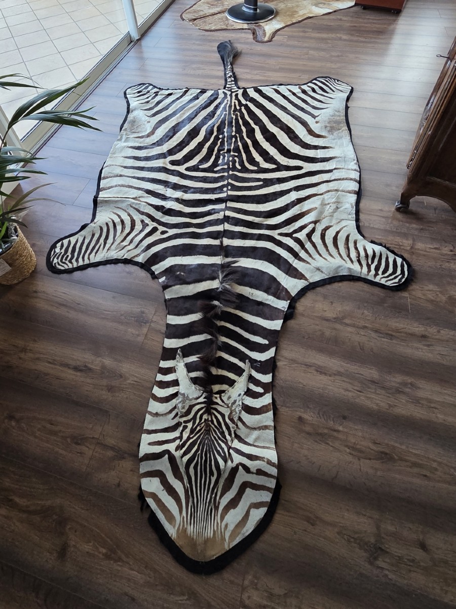 Genuine Burchell Zebra Skin