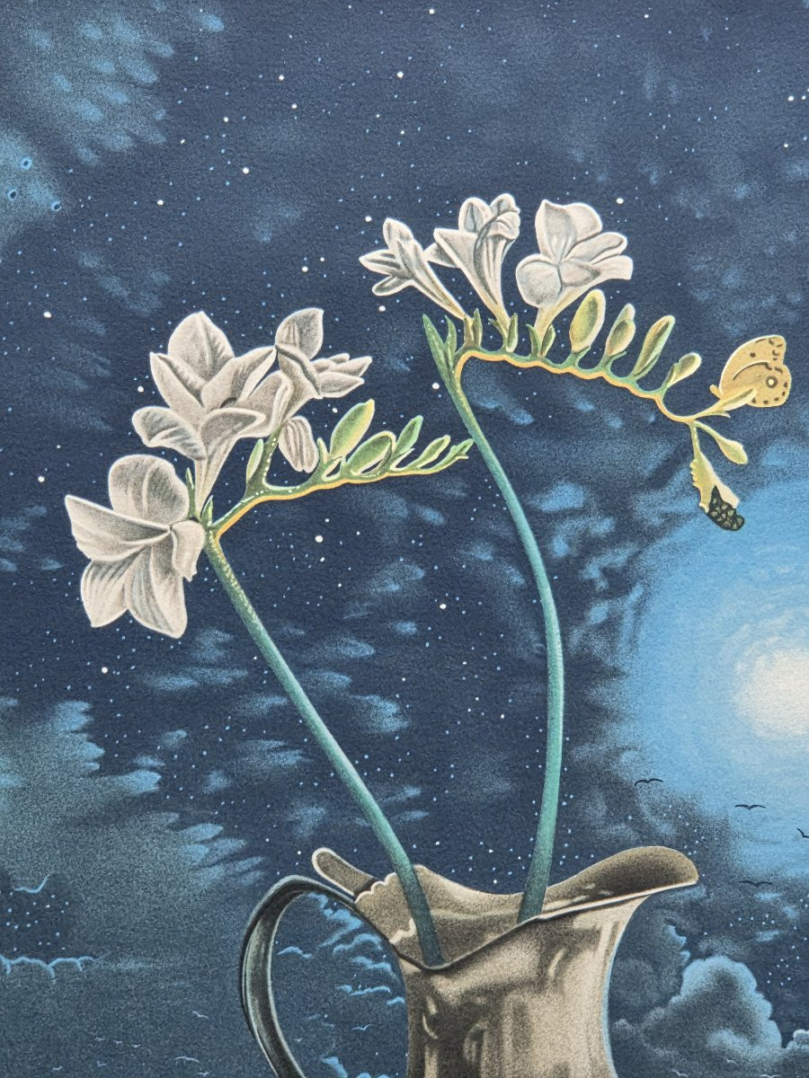 Degans Xavier (1949-) - Lithographie Epreuve d'artiste-photo-1