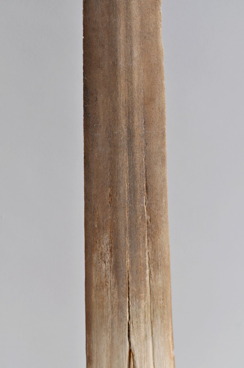 Large Rostrum Of Swordfish - 106 Cm - XXth-photo-2