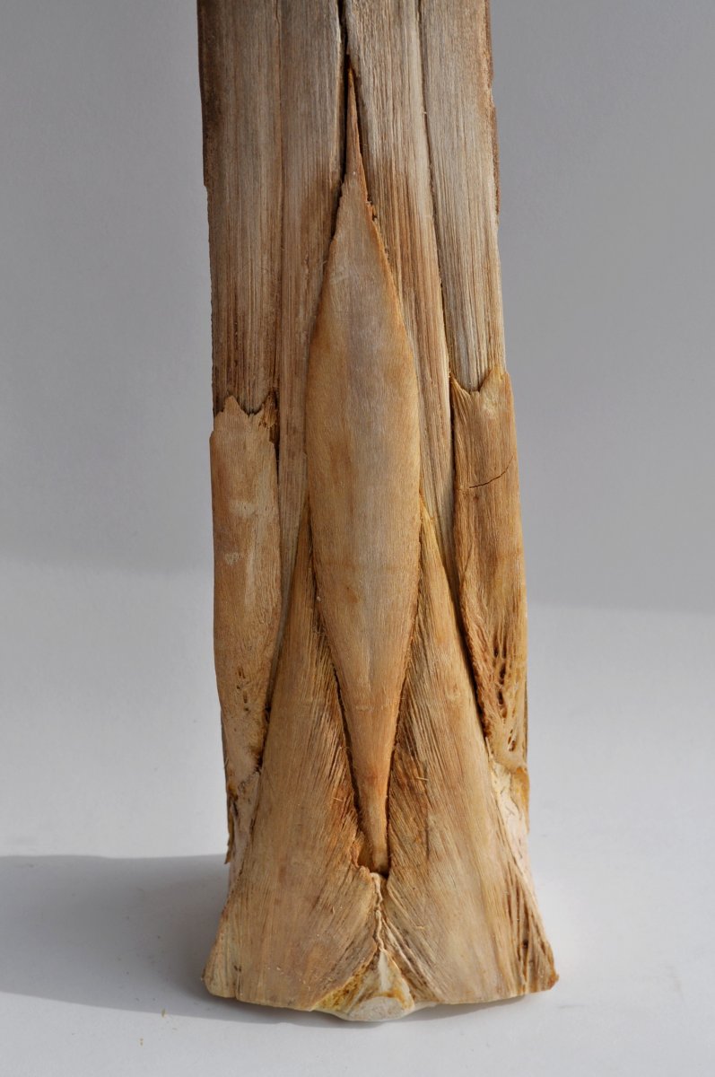 Large Rostrum Of Swordfish - 106 Cm - XXth-photo-3