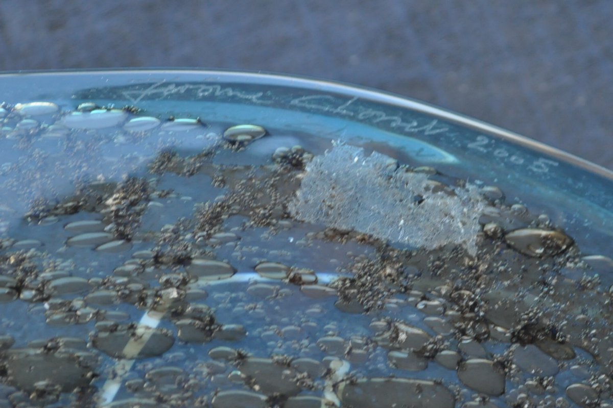 Closset Jérôme - Glass Basin - Val St Lambert - XXth-photo-2