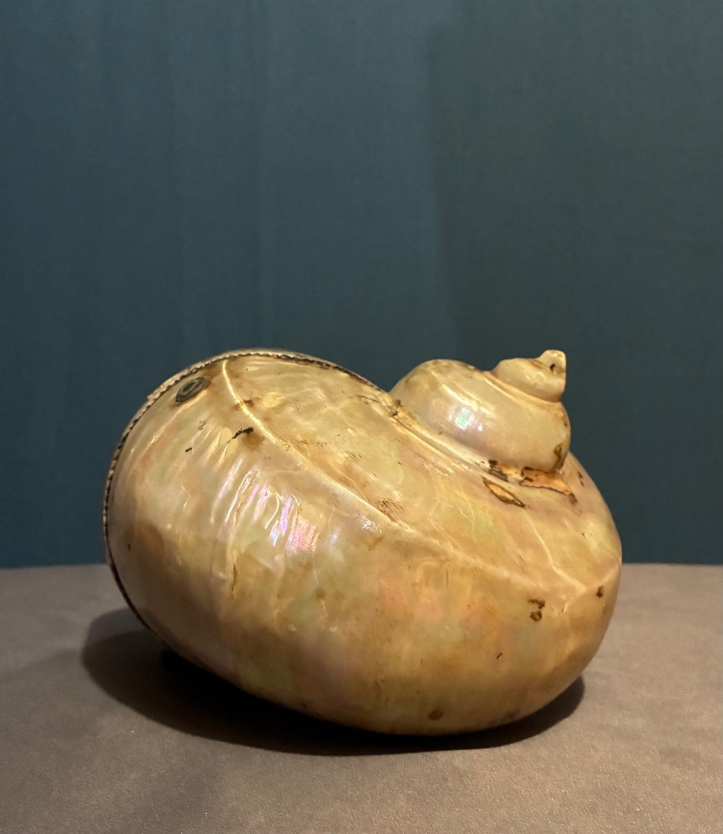 Poire à poudre Indo-Portugaise du Gujarat, Inde XIXé-photo-2