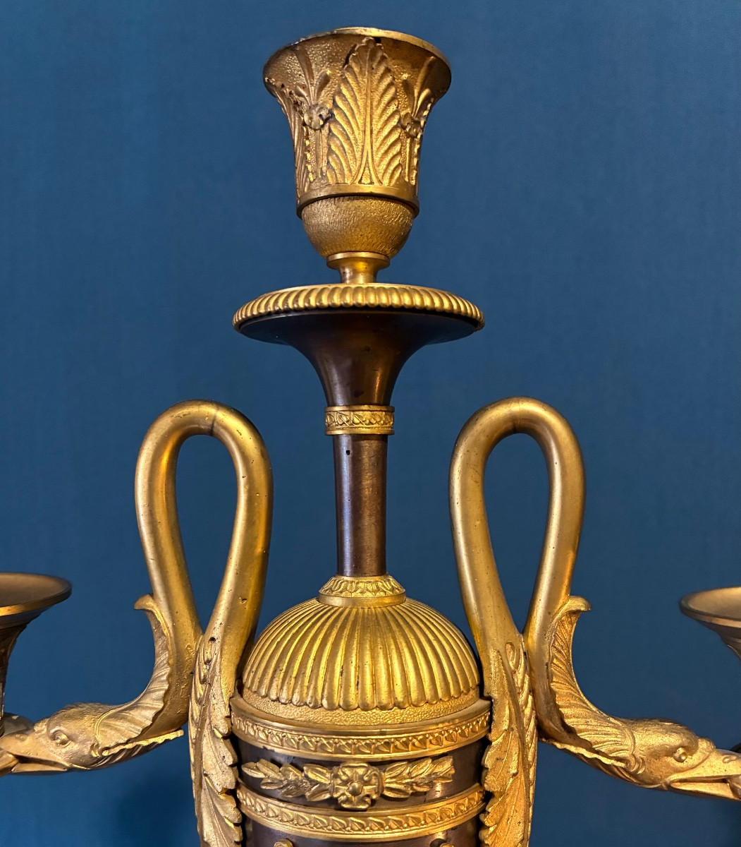 Pair Of Swan-neck Candelabra, French Work Circa 1850-photo-3