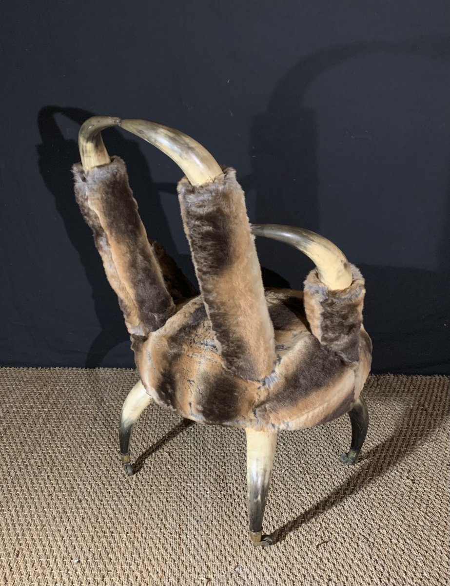 Sympathetic Fireside Chair In Buffalo Horns, Mid Nineteenth Work-photo-2