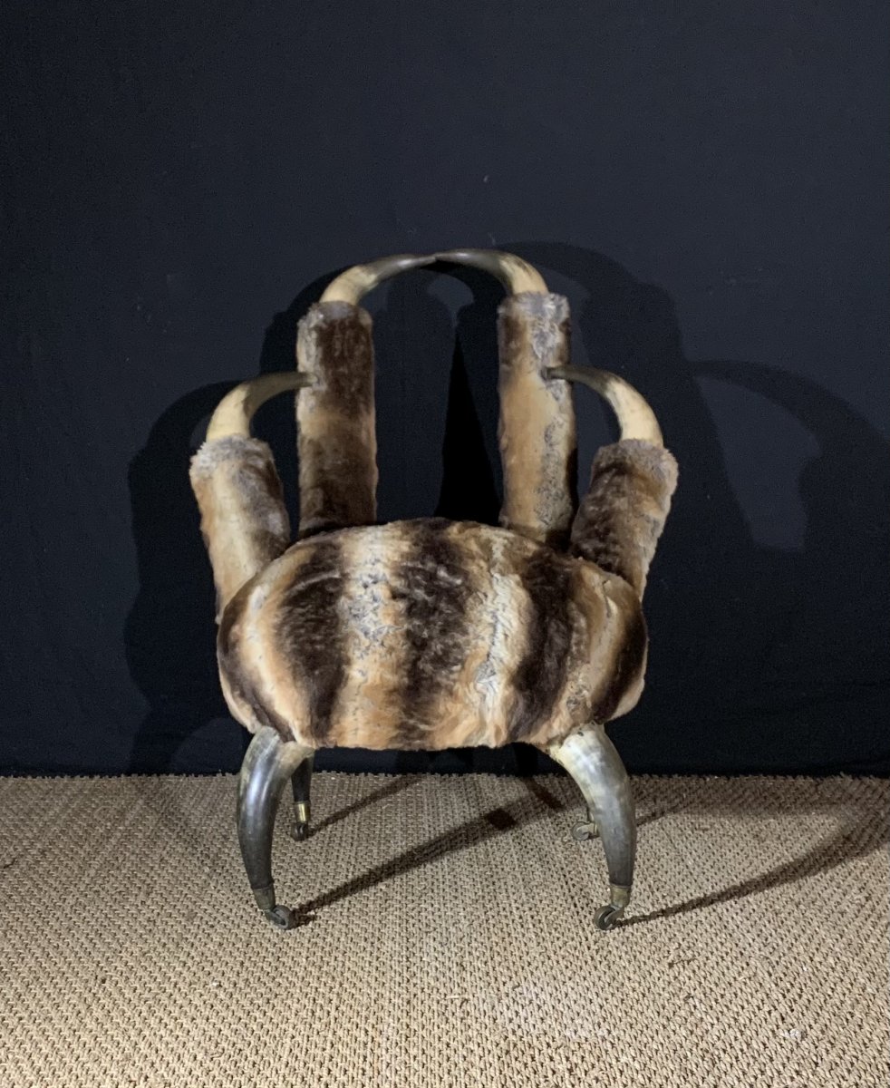 Sympathetic Fireside Chair In Buffalo Horns, Mid Nineteenth Work-photo-3