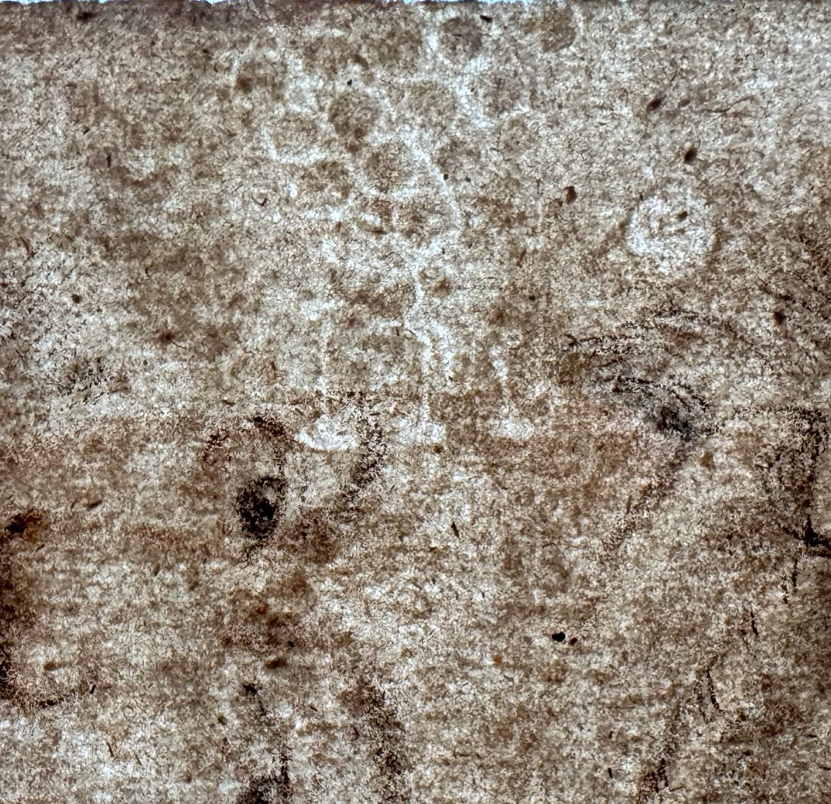 Portrait Of Charles Ix, King Of France, Follower Of François Clouet-photo-3