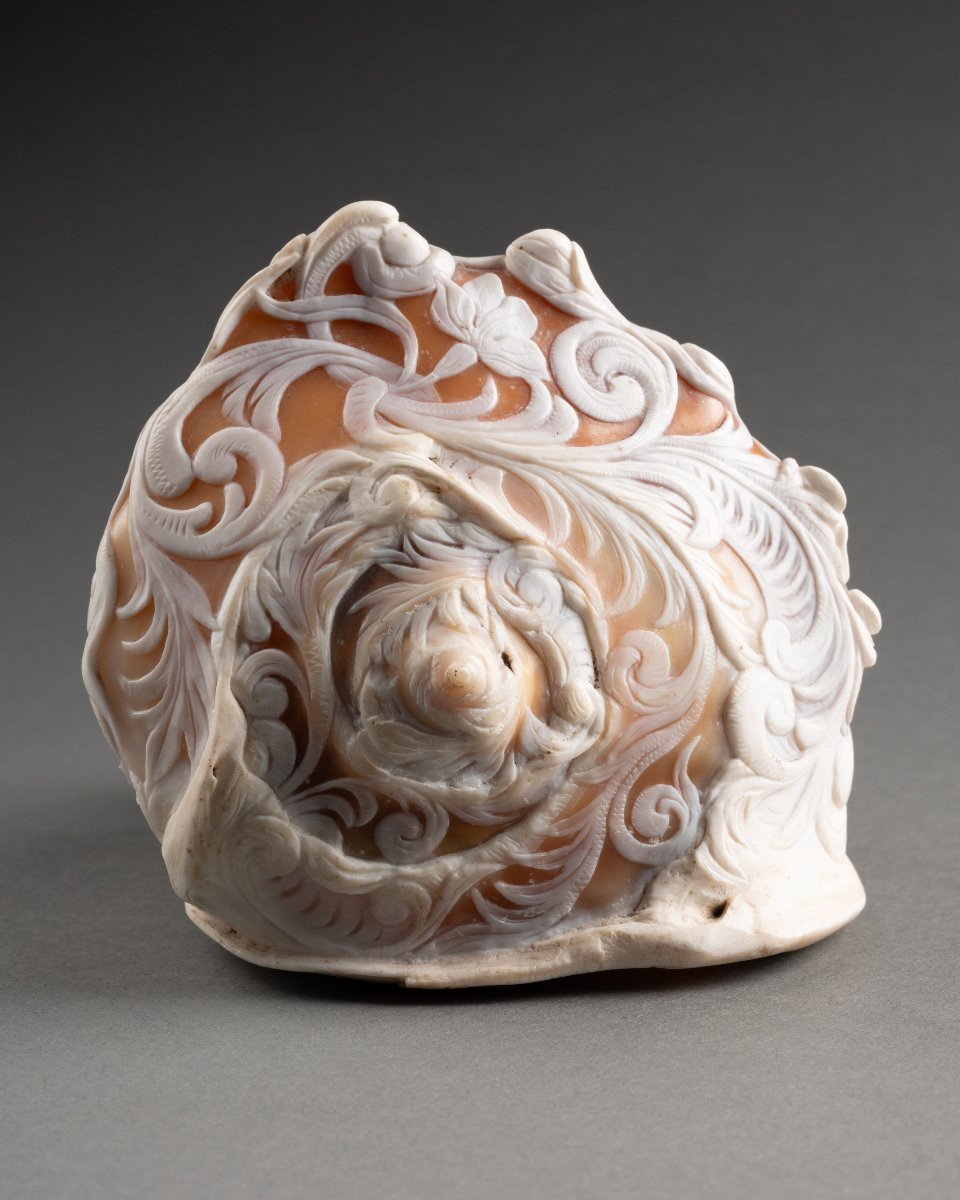 Le taureau Farnese - Coquillage sculpté en camée - Giovanni Sabbato-photo-2