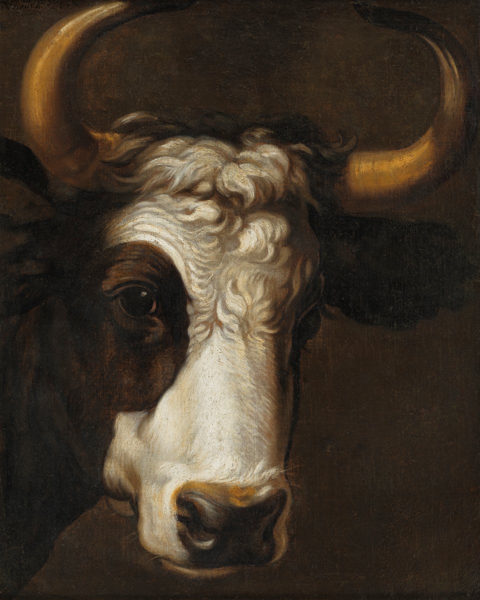 Portrait de taurillon - Atelier de Gerrit van Honthorst (Utrecht, 1592–1656)-photo-2