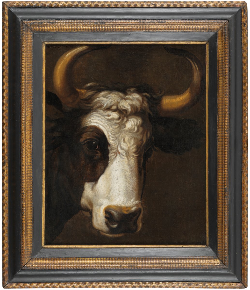 Portrait de taurillon - Atelier de Gerrit van Honthorst (Utrecht, 1592–1656)