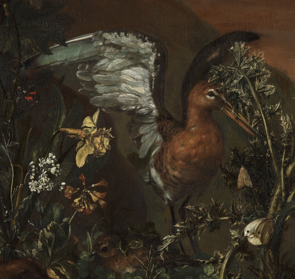 Undergrowth - Pieter Van Der Hulst IV (1651 - 1727)-photo-2
