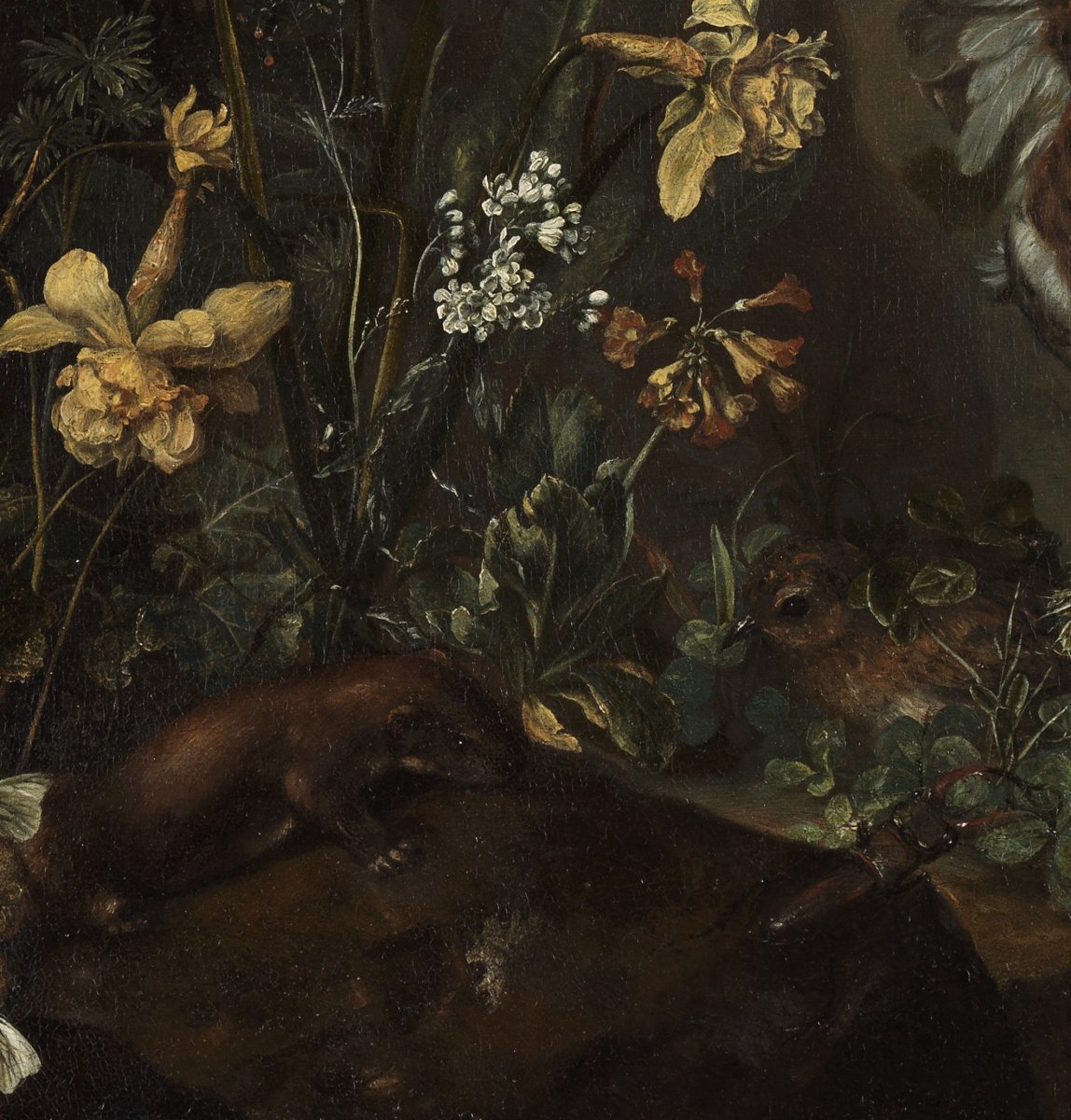 Undergrowth - Pieter Van Der Hulst IV (1651 - 1727)-photo-3