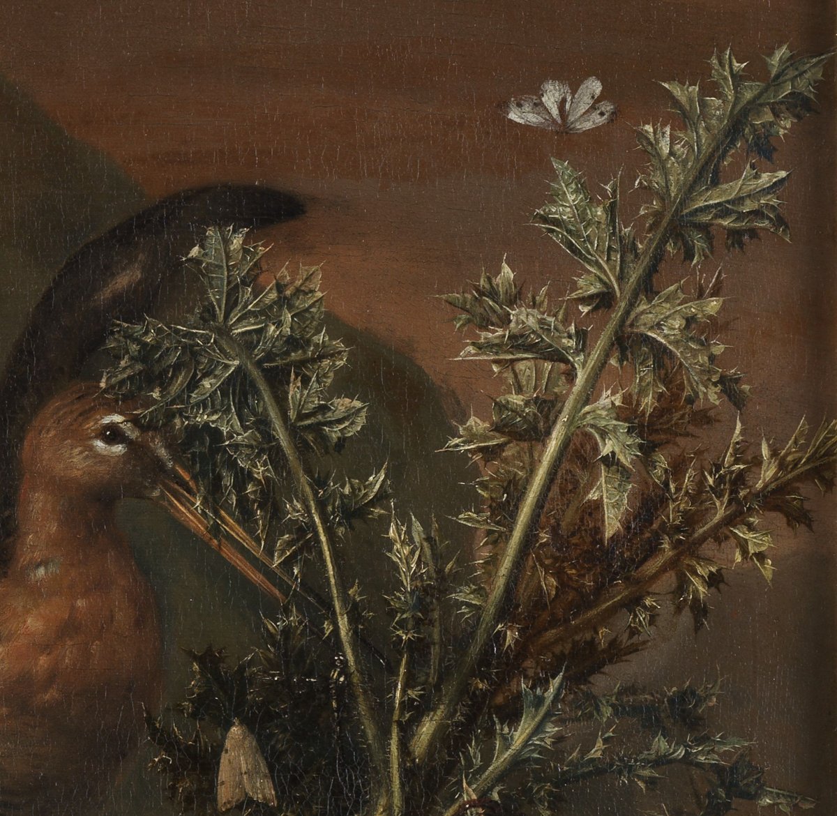Undergrowth - Pieter Van Der Hulst IV (1651 - 1727)-photo-4