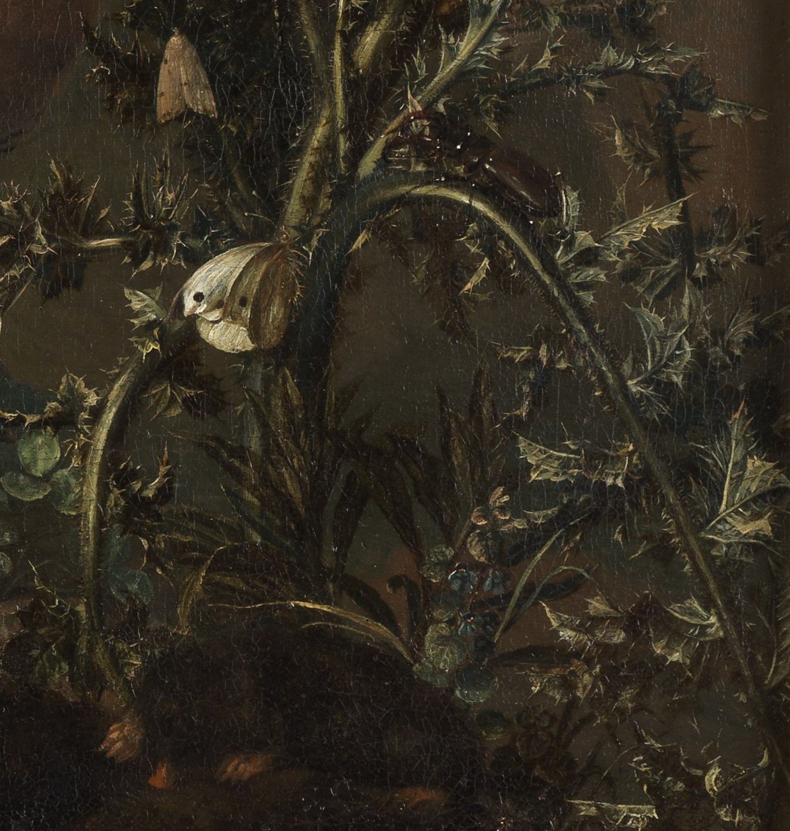 Undergrowth - Pieter Van Der Hulst IV (1651 - 1727)-photo-2