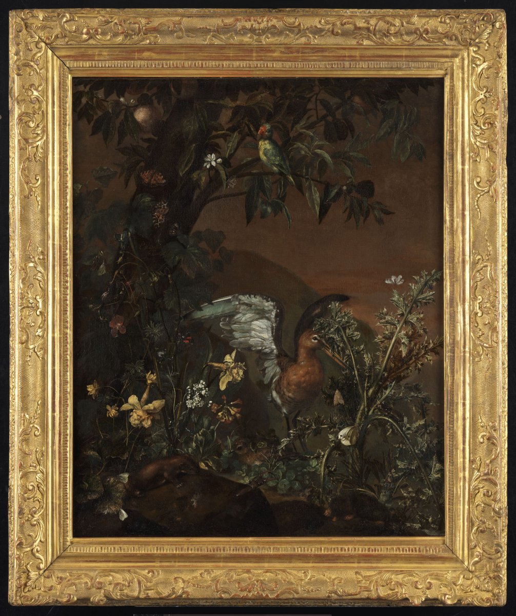 Undergrowth - Pieter Van Der Hulst IV (1651 - 1727)-photo-4