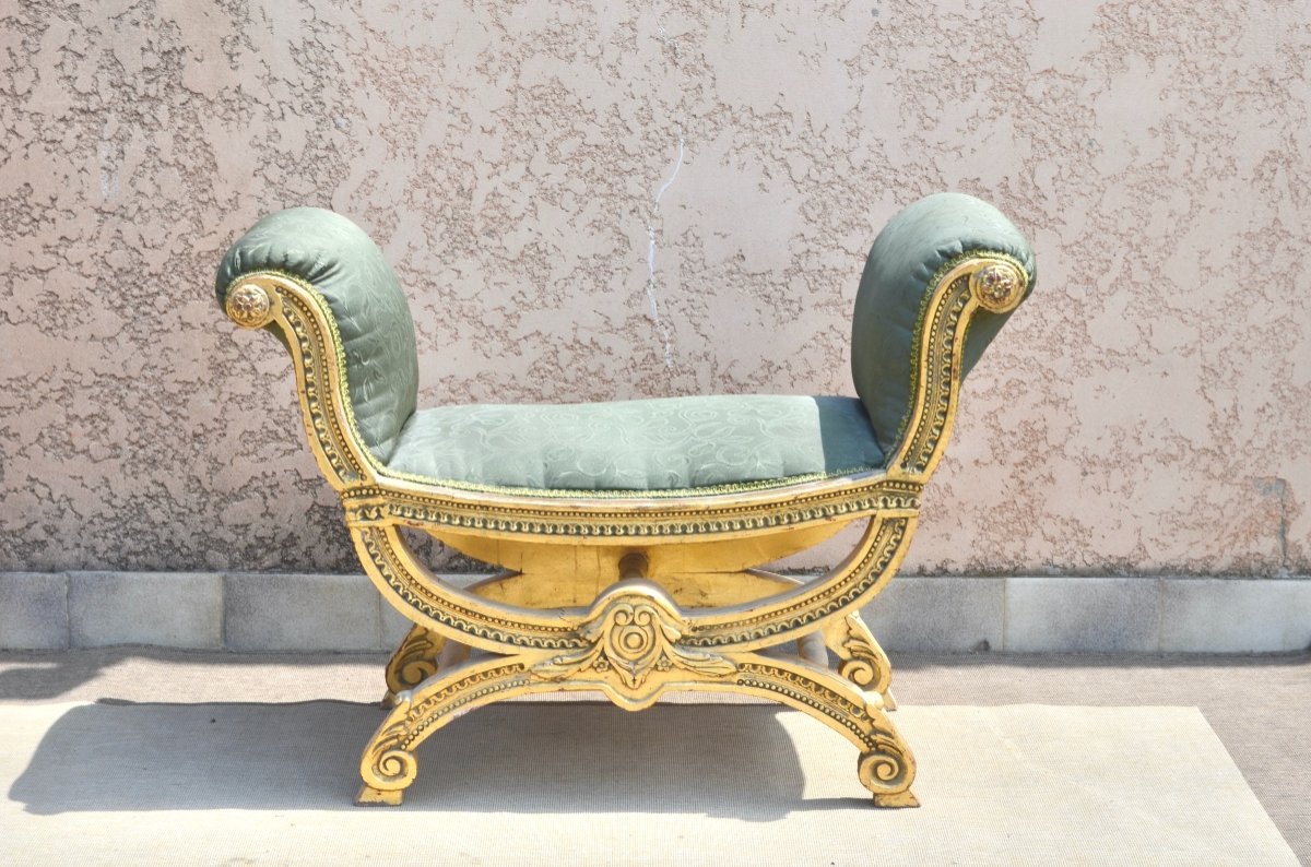 Large Curule Seat In Golden Wood Late 19th Time