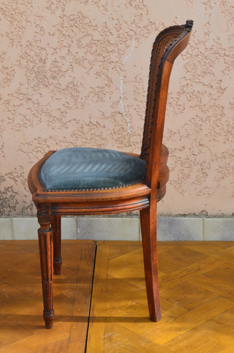 Set Of 6 Louis XVI Style Chairs, 19th Century -photo-5