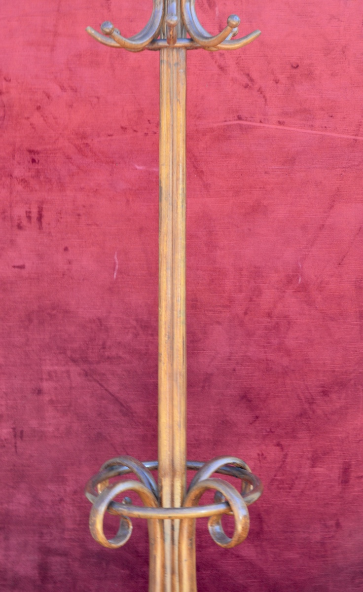 Parrot In Bent Wood From A Tuna Fish Late 19th Century-photo-3