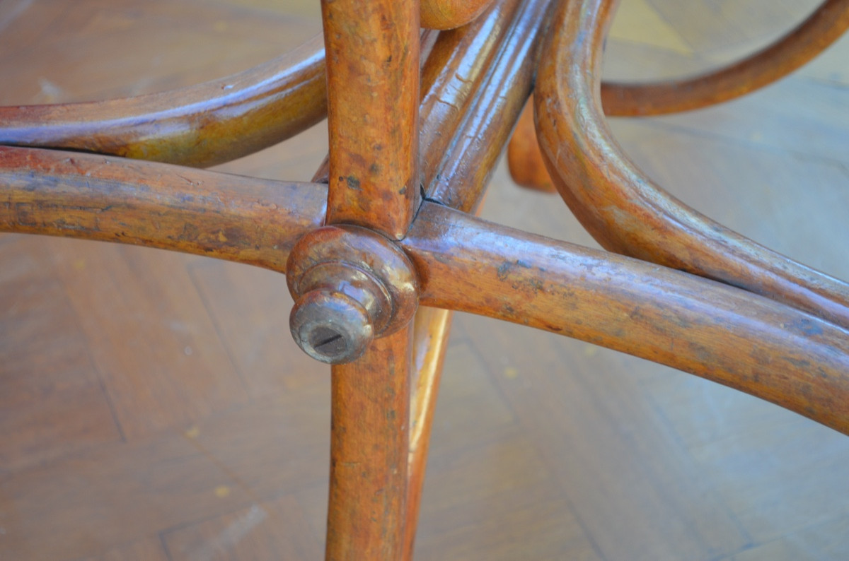 Parrot In Bent Wood From A Tuna Fish Late 19th Century-photo-2