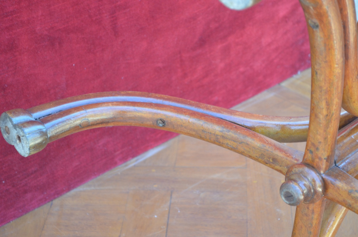 Parrot In Bent Wood From A Tuna Fish Late 19th Century-photo-3