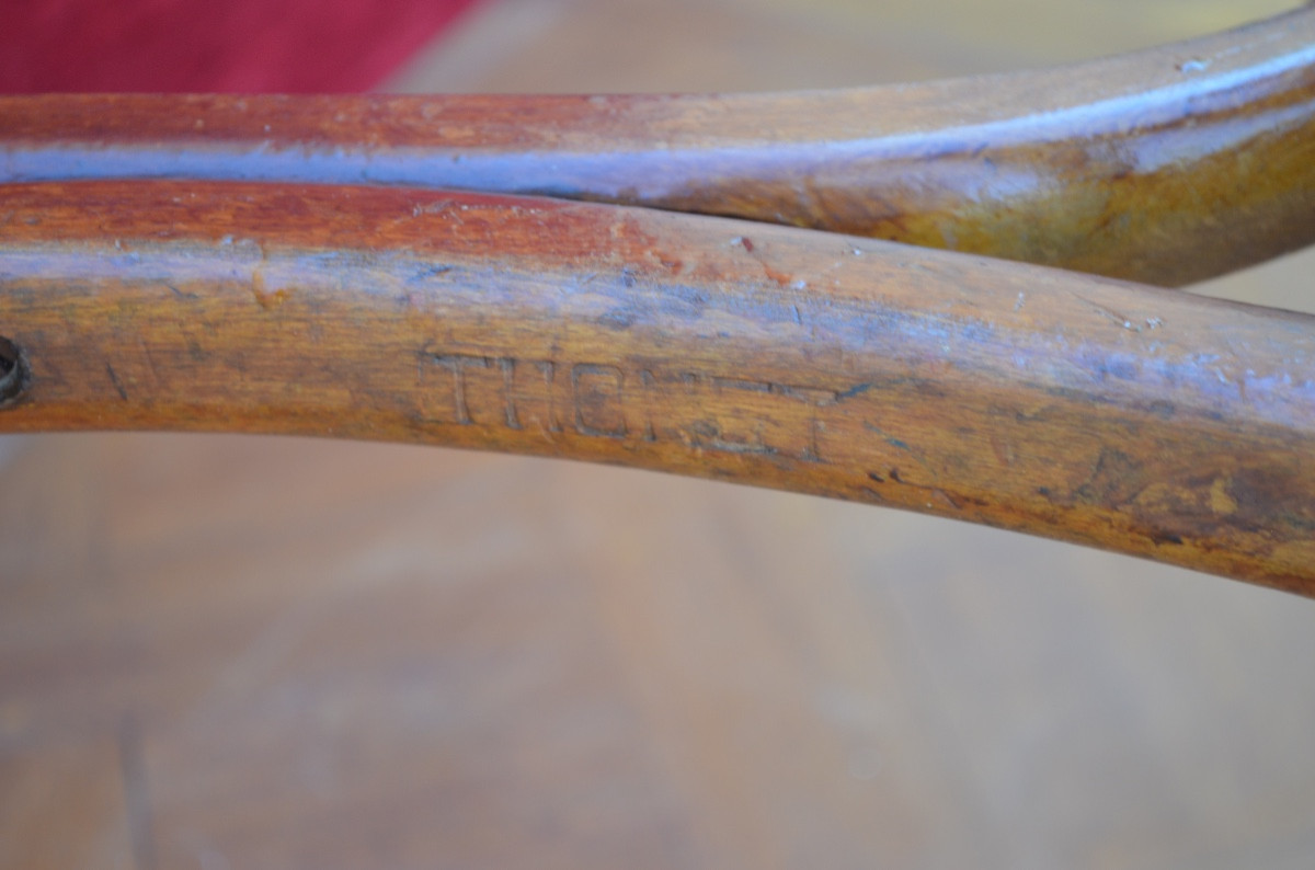 Parrot In Bent Wood From A Tuna Fish Late 19th Century-photo-4