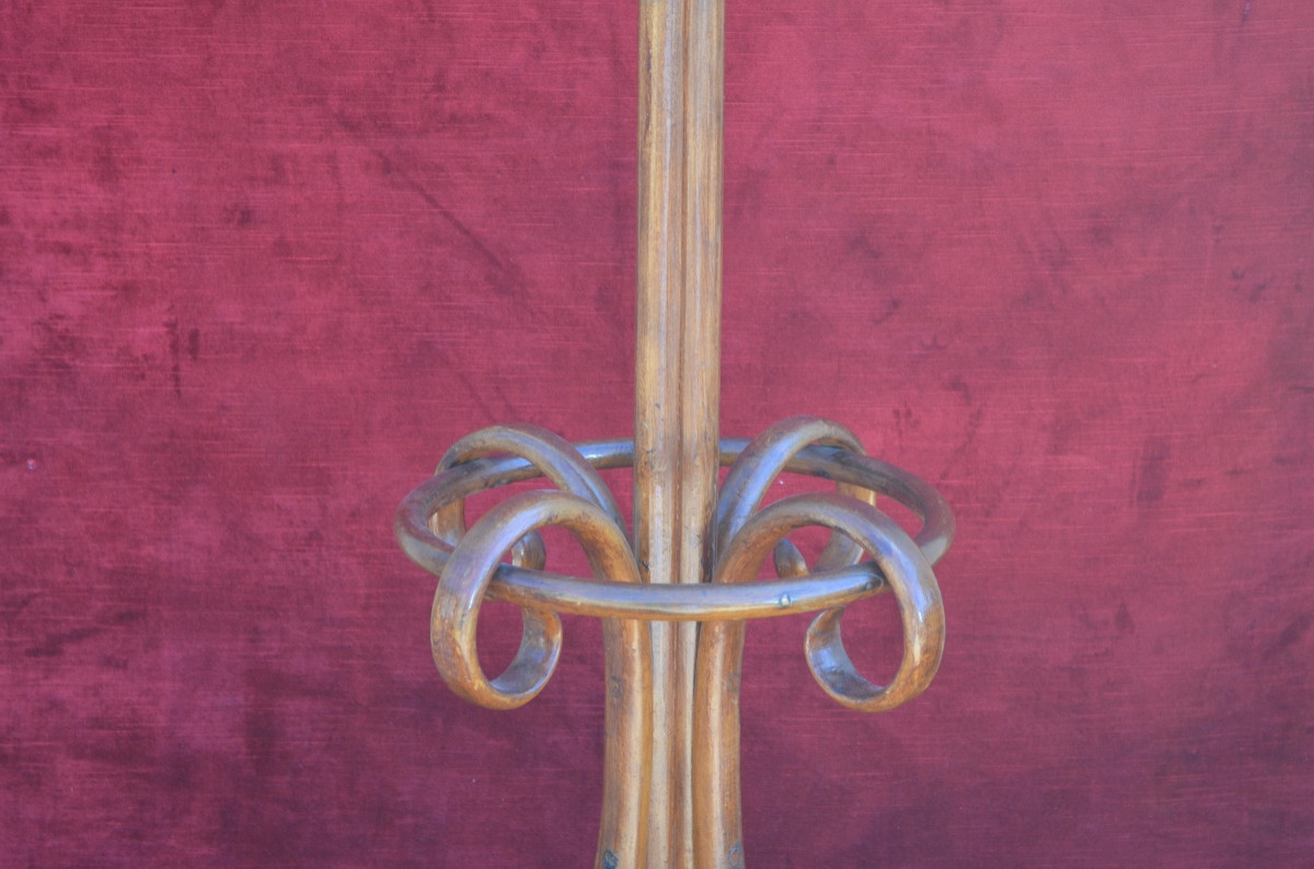 Parrot In Bent Wood From A Tuna Fish Late 19th Century-photo-5