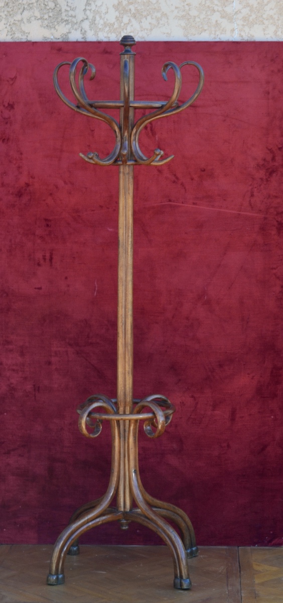 Parrot In Bent Wood From A Tuna Fish Late 19th Century