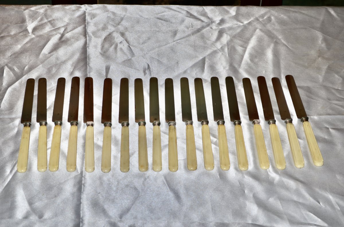 Series Of 18 Fruit Knives Silver Blades-photo-2