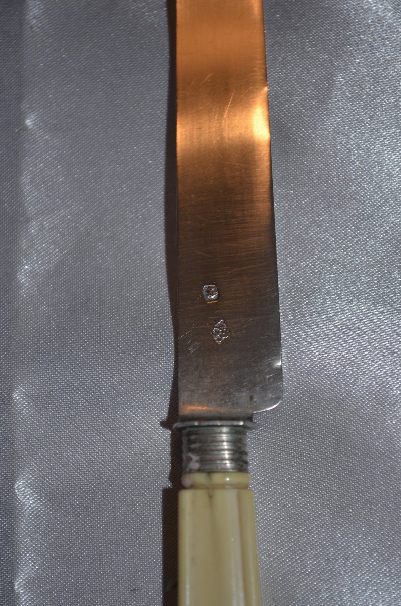 Series Of 18 Fruit Knives Silver Blades-photo-3