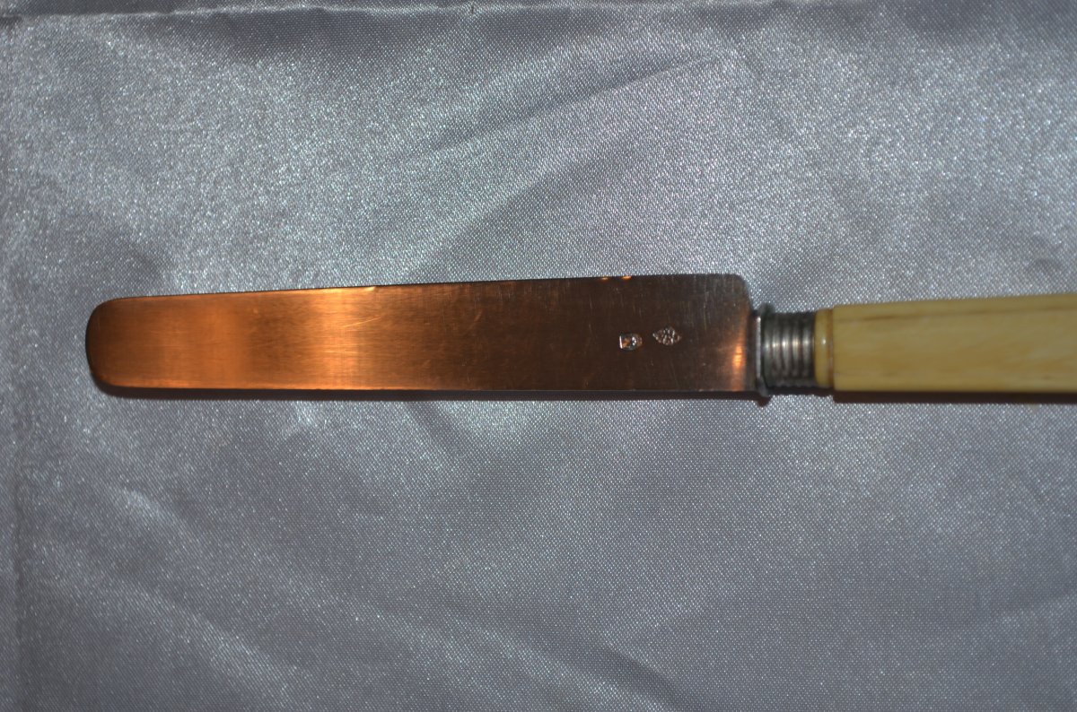 Series Of 18 Fruit Knives Silver Blades-photo-1