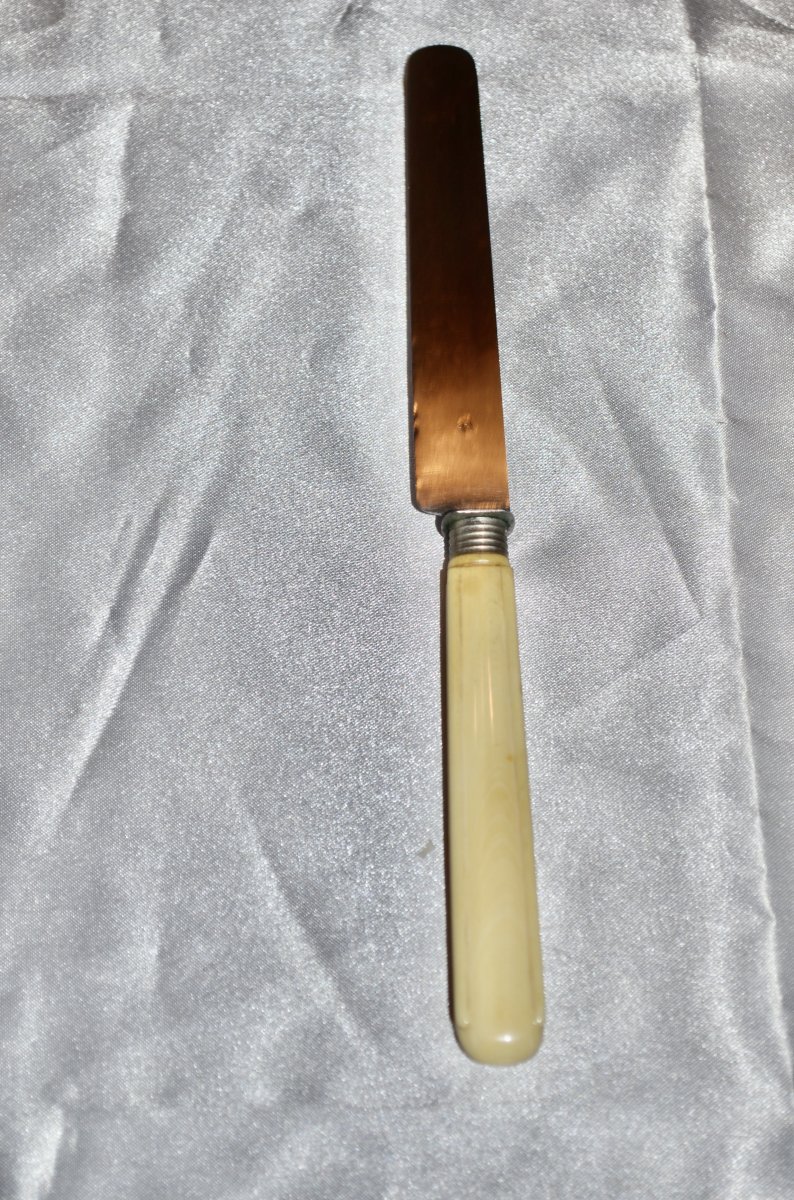 Series Of 18 Fruit Knives Silver Blades-photo-2