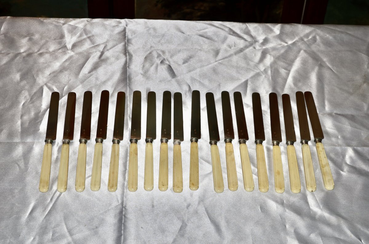 Series Of 18 Fruit Knives Silver Blades