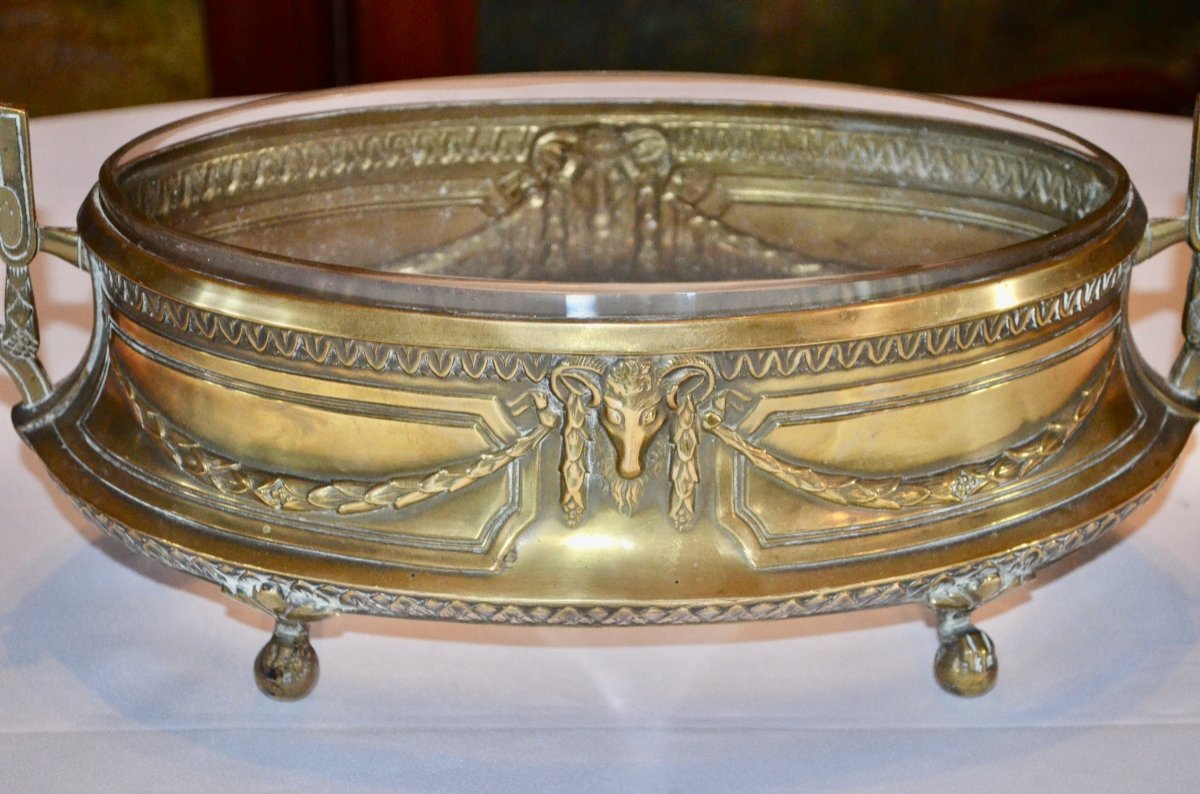 Louis XVI Style Golden Brass Planter 19th Century-photo-2