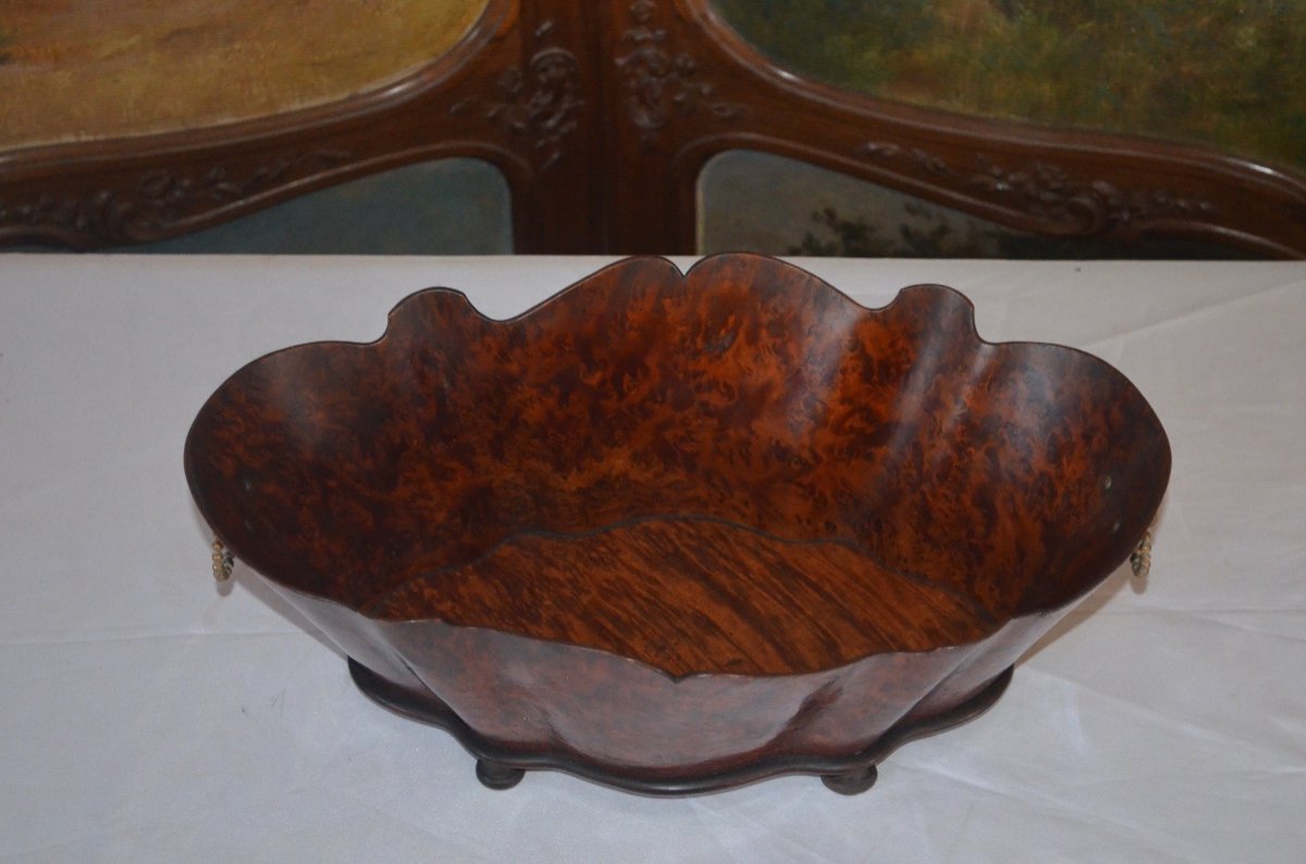 Table Planter In Thuya Napoleon III Period-photo-2