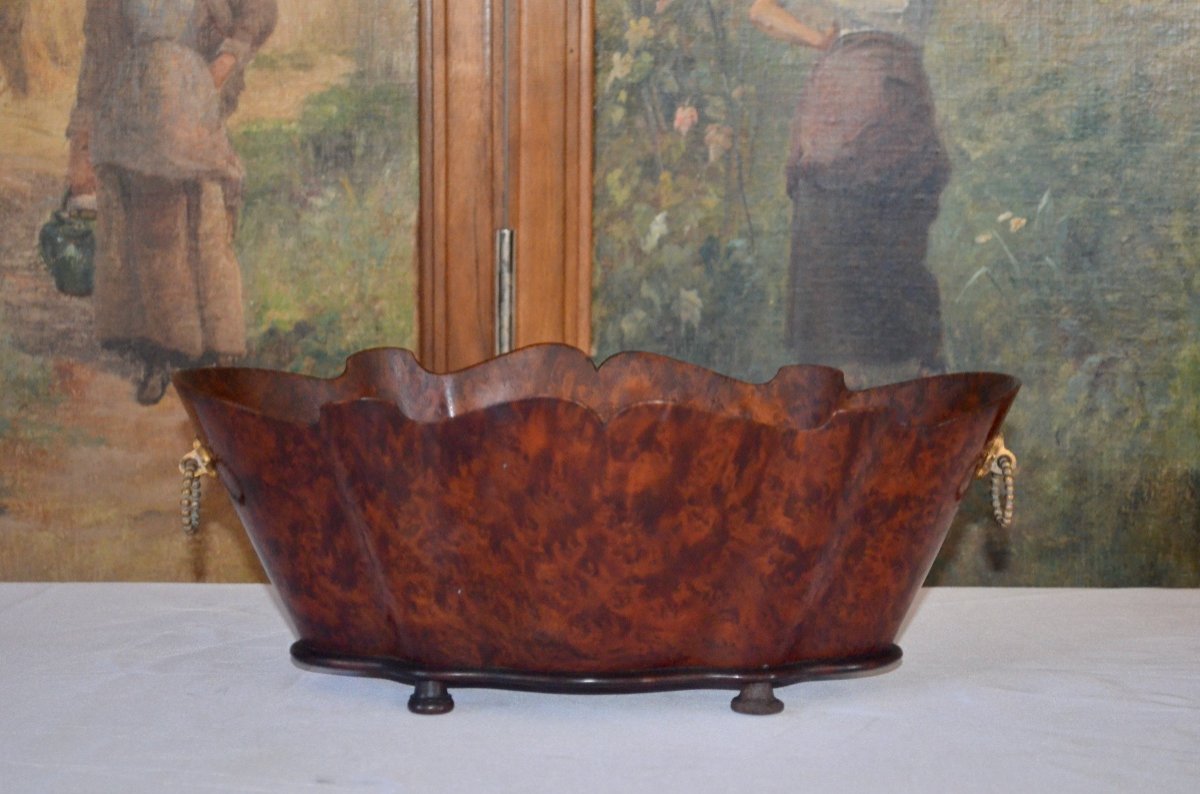 Table Planter In Thuya Napoleon III Period-photo-3