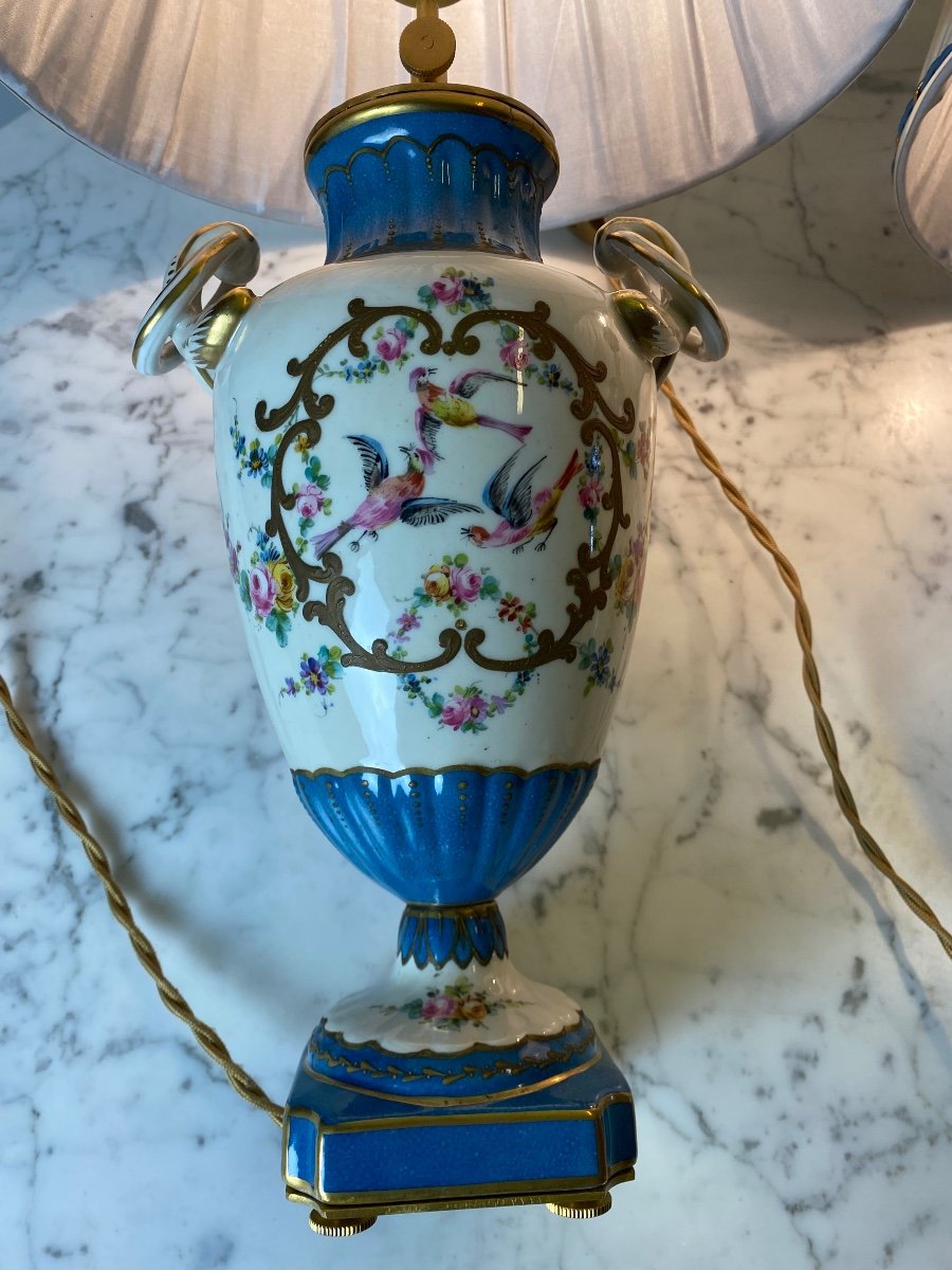 Pair Of Celestial Blue And White Porcelain Lamps Decorated With Birds And Flowers-photo-4