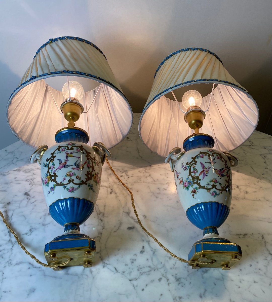 Pair Of Celestial Blue And White Porcelain Lamps Decorated With Birds And Flowers-photo-5