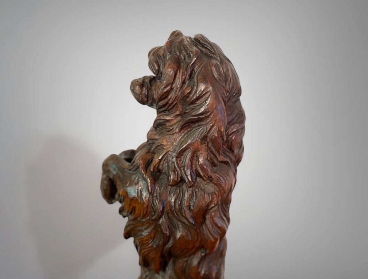 Sculpture Chien grandeur nature For&ecirc;t Noire En Bois Massif 19eme si&egrave;cle -photo-2